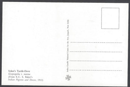 India 2008 Pigeon Sykes's Turtle - Dove Maxi card