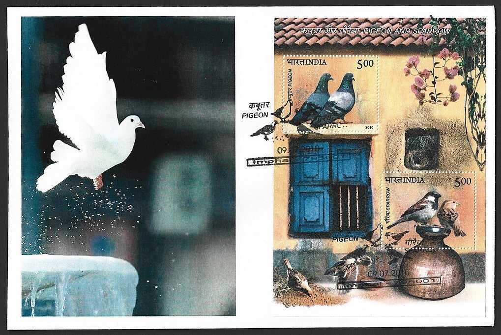 India 2010 Birds Pigeon & Sparrow MS on FDC First Day cover