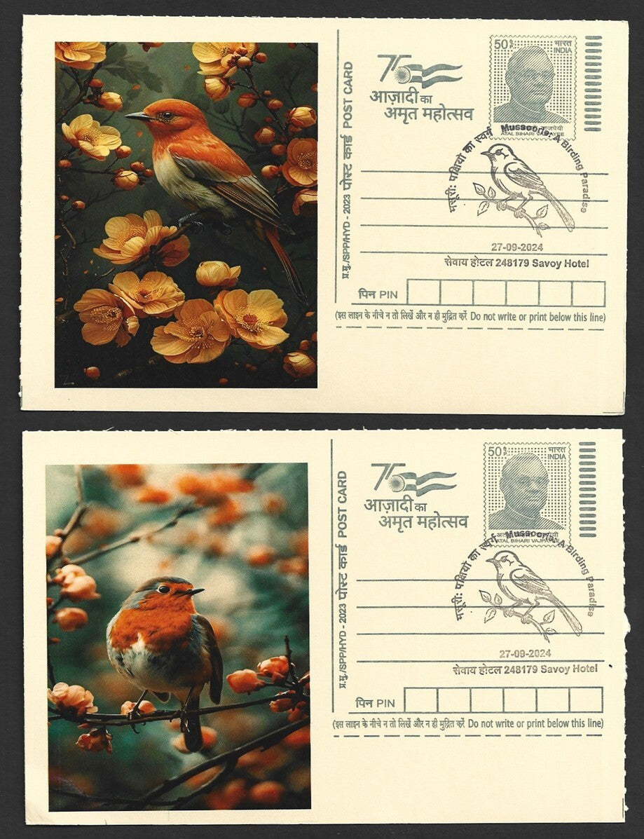 India 2024 Birding Paradise Savoy Hotel postmark cards MULTICOLORED BIRDS (8)