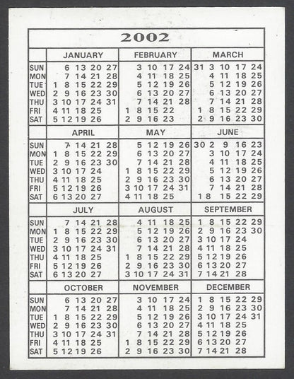 AOP Bollywood India promotional pocket calendar 2002 RAVEENA TANDON