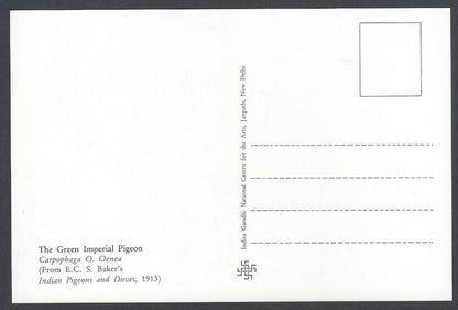 India 2008 Pigeon. The Green Imperial Pigeon Maxi card