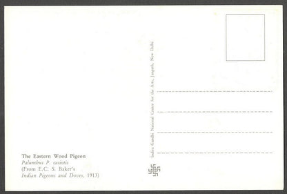 AOP India 2010 Pigeon maxi card