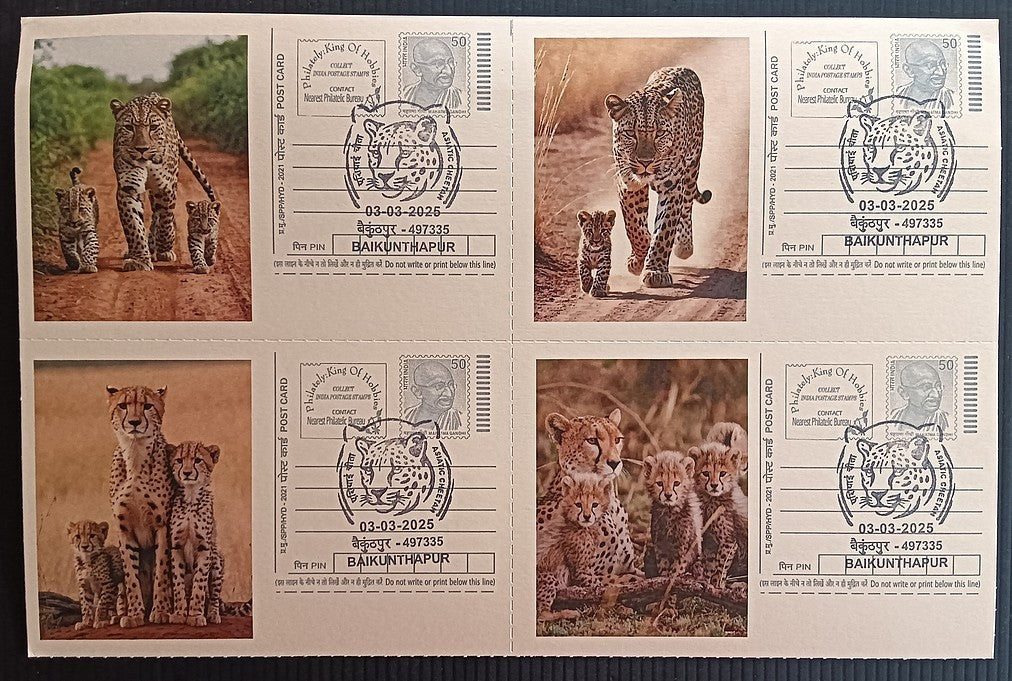 India Asiatic Cheetah group of 80 different special event postcards, Baikuntapur