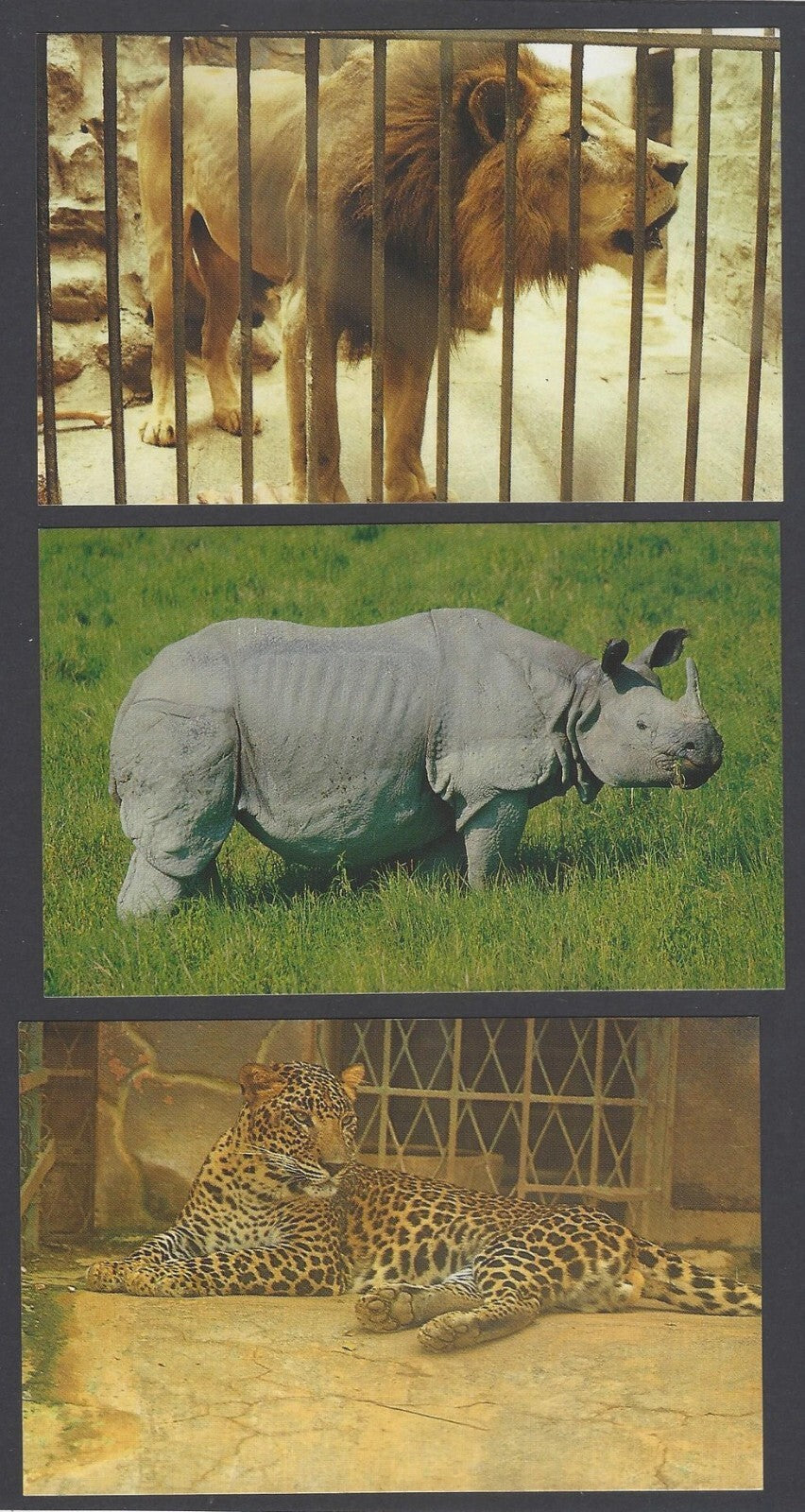 AOP India MYSORE packet of 10 vintage postcards MYSORE 