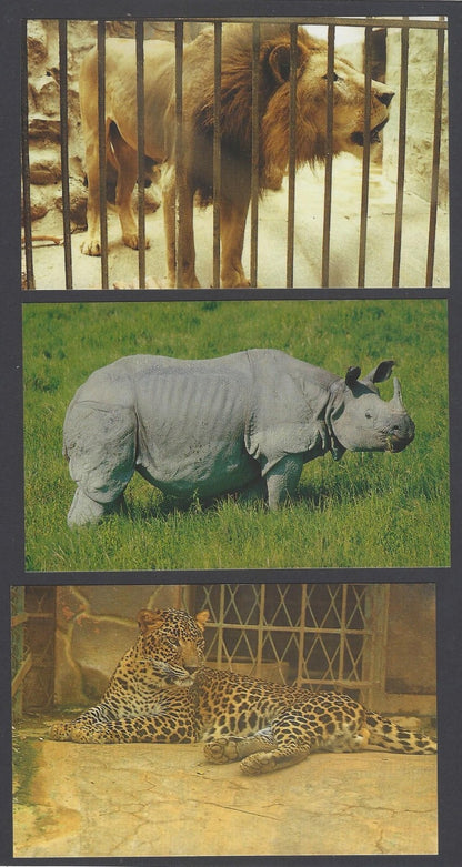 AOP India MYSORE packet of 10 vintage postcards MYSORE 