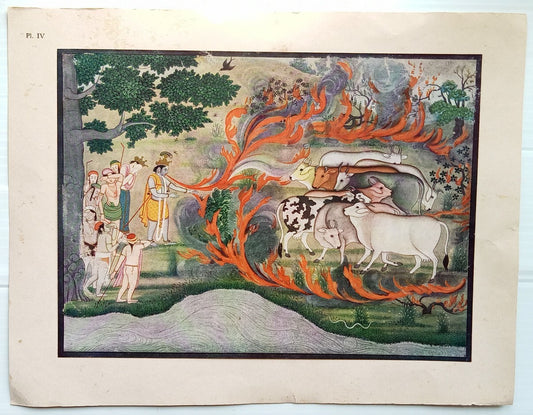 AOP India Vintage Lalit Kala Akademi Mewar Painting 10 x 14 