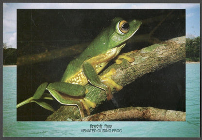 AOP India 2012 Biodiversity MS First Day card