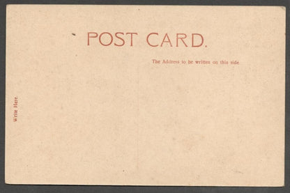 AOP India Mayo Gate & Iron Pillar, Delhi vintage postcard