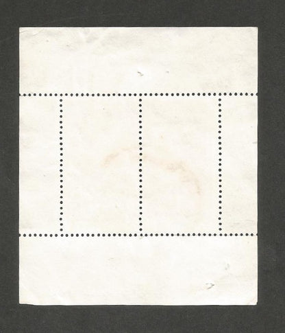 India 1995 Gandhi South Africa MS miniature sheet commercially used