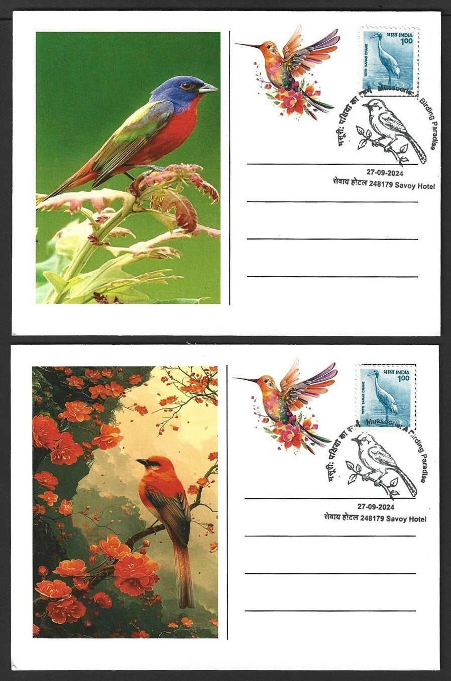 India 2024 BIRDS maximum cards (not first day) (7)