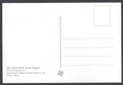 India 2008 Pigeon. The Thick - Billed Green Pigeon Maxi card