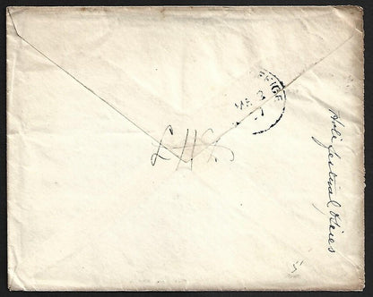 AOP India KEdVII 1/2a & 2a on 1907 cover SATARA to USA
