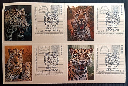 India Asiatic Cheetah group of 80 different special event postcards, Baikuntapur