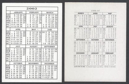 AOP India Bollywood 1996 -2004  Pocket Calender - GOVINDA (7)