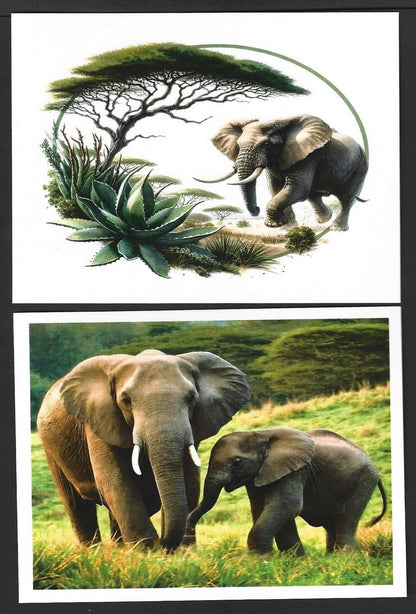 India 2023 LEMRU ELEPHANT RESERVE Special postcards (5)