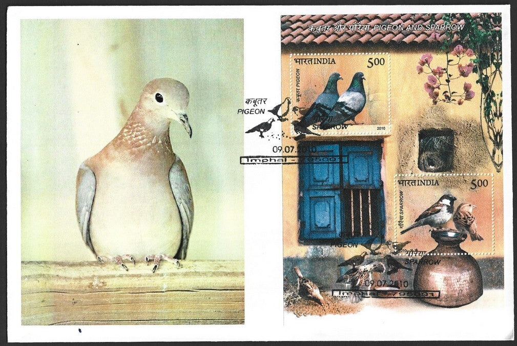 India 2010 Birds Pigeon & Sparrow MS on FDC First Day cover