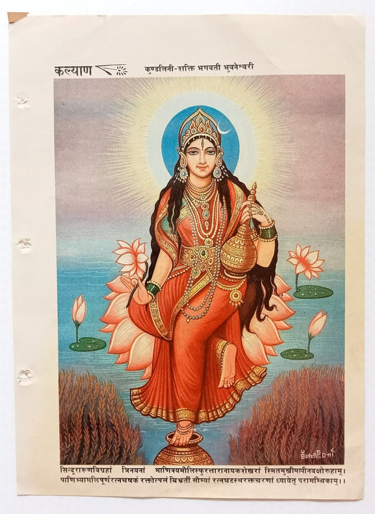 AOP India Hindu God Bhagwati Bhuvaneshwari  7x9.5" 1987 poster