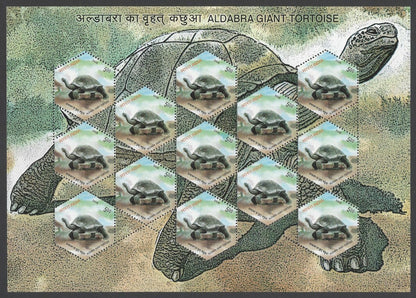 India 2008 Tortoise complete set of 4 sheetlets MNH