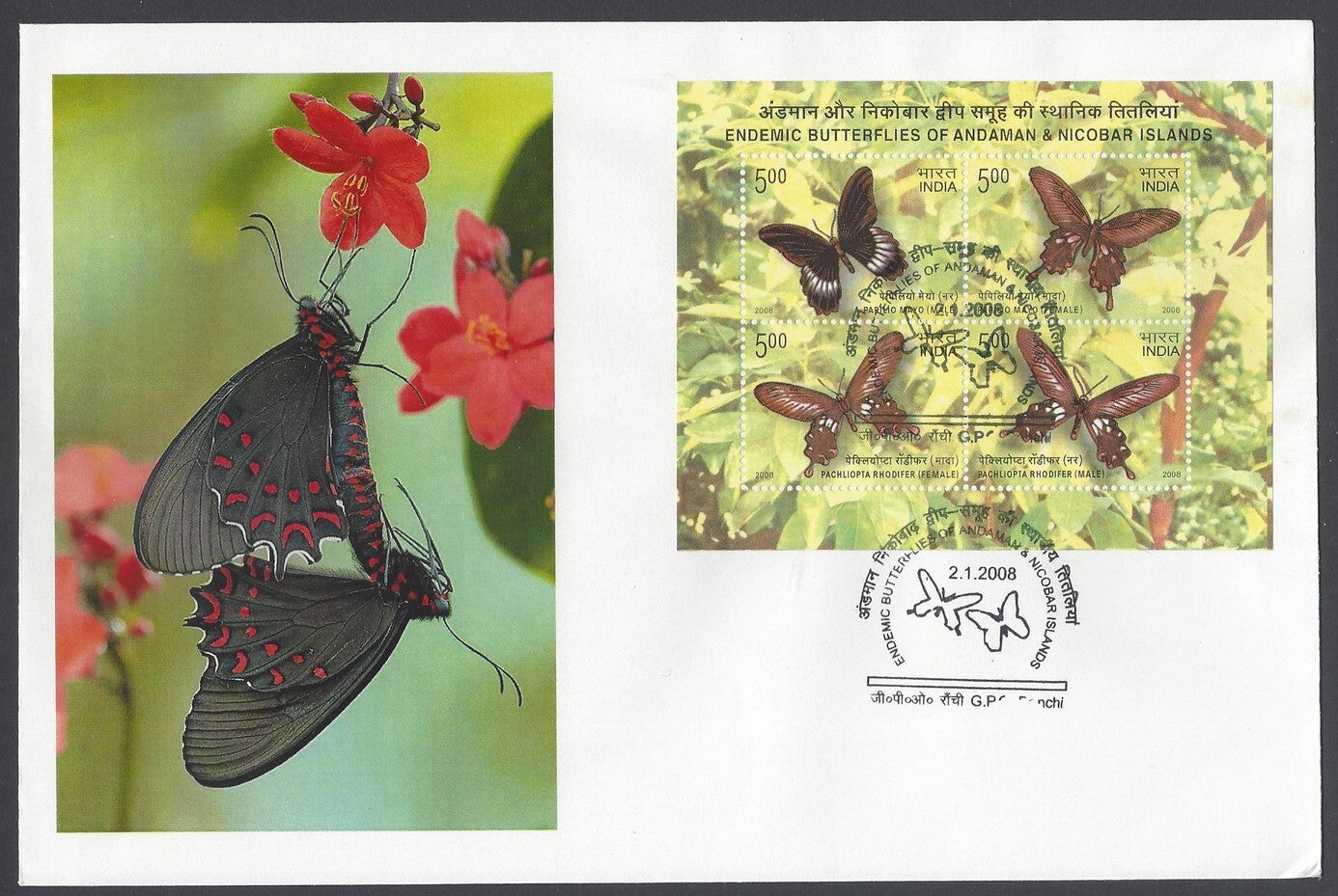 India 2008 Endemic Butterflies of Andaman & Nicobar Islands MS First Day cover