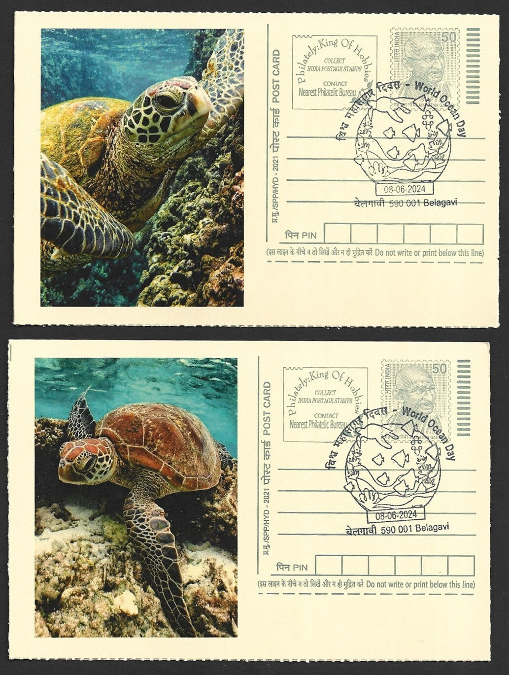 India 2024 World Ocean Day cards TORTOISE (9)