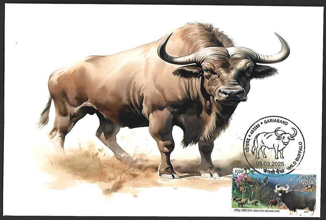 India 2025 WILD BUFFALO, GARIABAND Special covers (5)