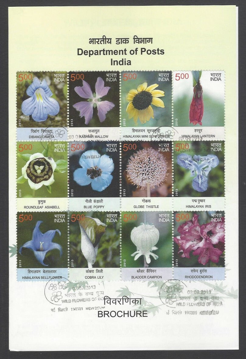 AOP India 2013 Wild Flowers se-tenant block of 12 on information brochure 