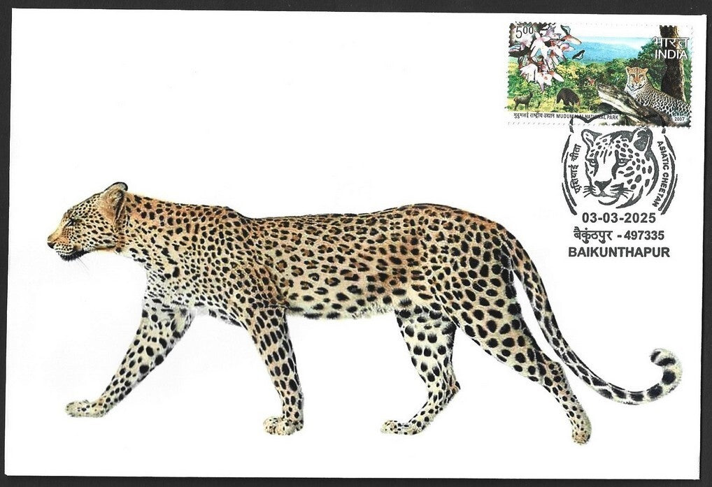 India ASIATIC CHEETAH, Baikunhapur postmark on special cover