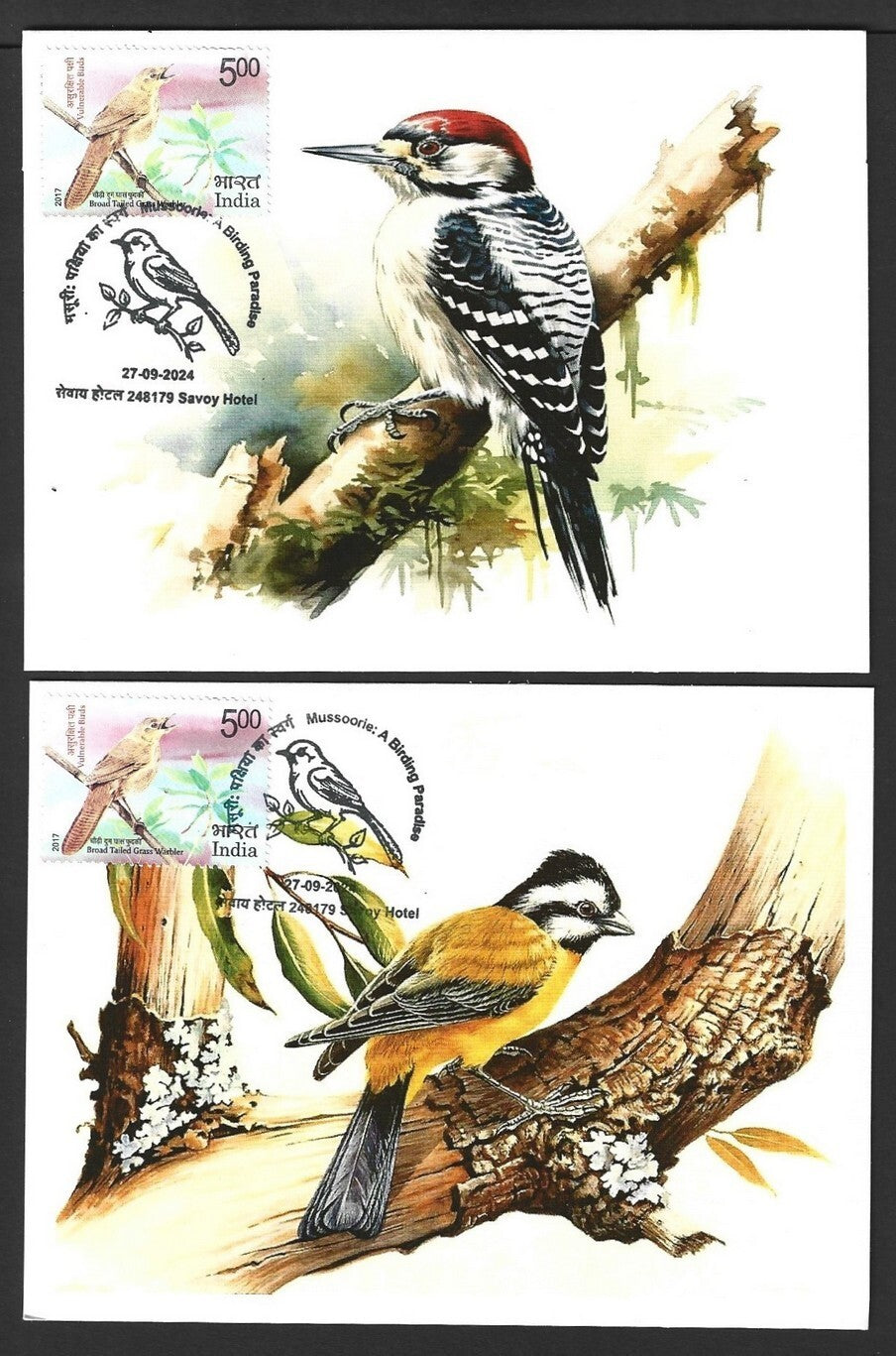 India 2024 BIRDS maximum cards (not first day) (7)