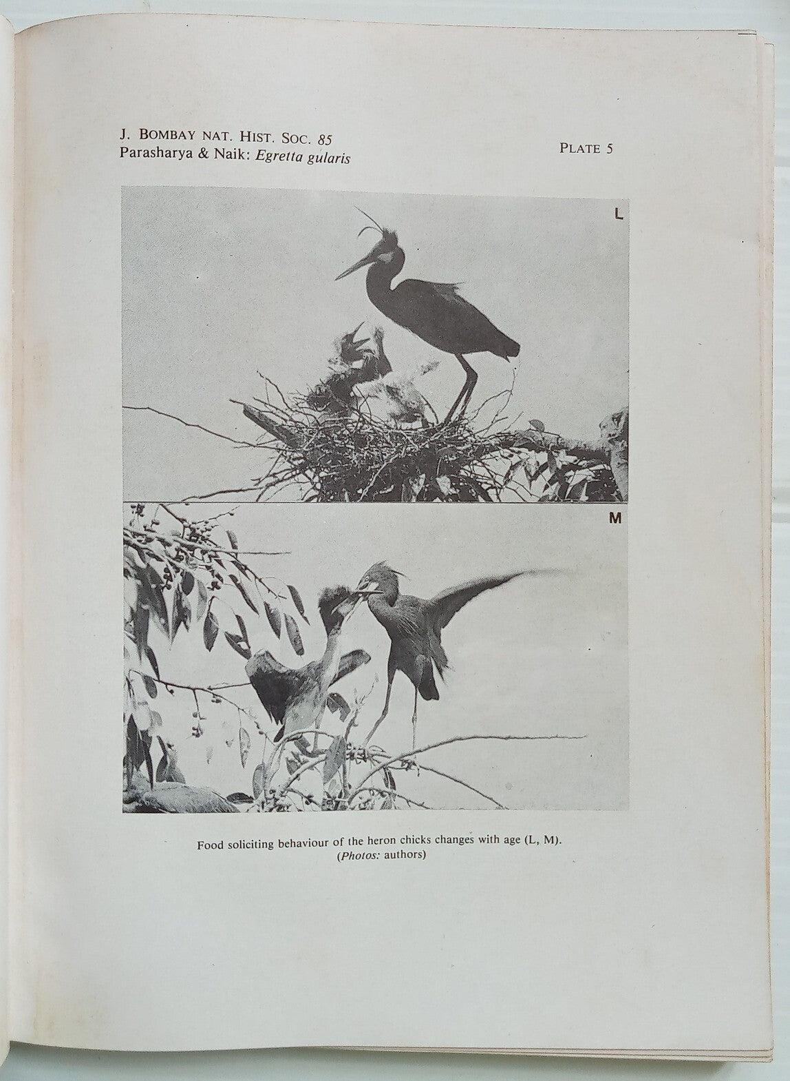 AOP India JOURNAL of the Bombay Natural History Society 1988 
