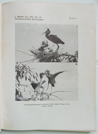 AOP India JOURNAL of the Bombay Natural History Society 1988 