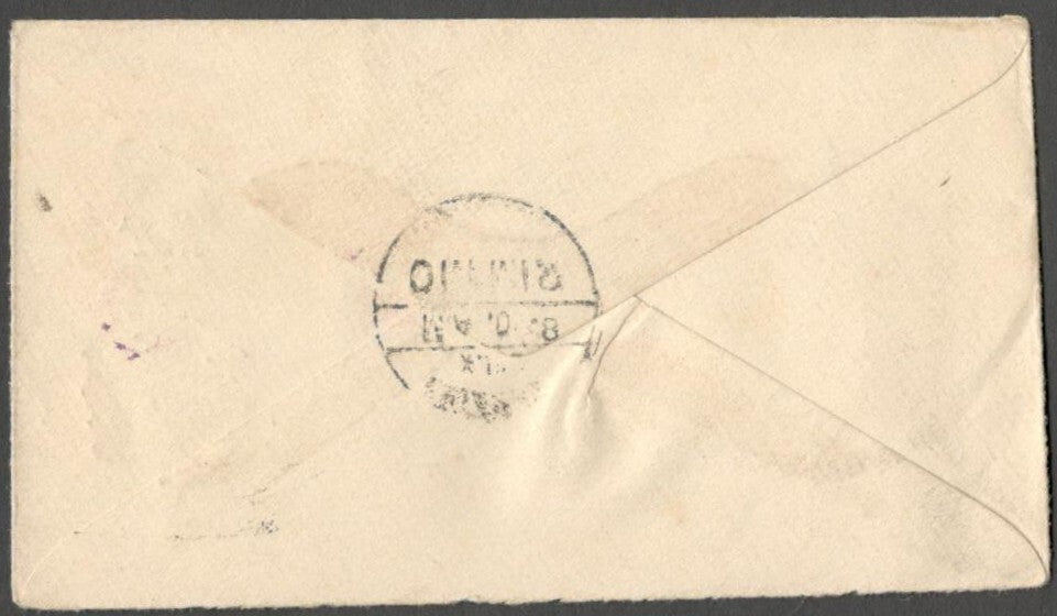 AOP India Nabha State 1903 KEdVII 1/2a green COMPLETE envelope used