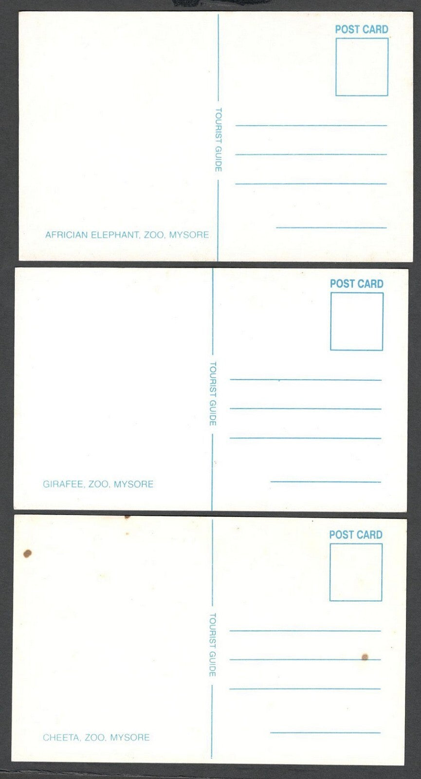 (AOP) India vintage postcards MYSORE ZOO (10)