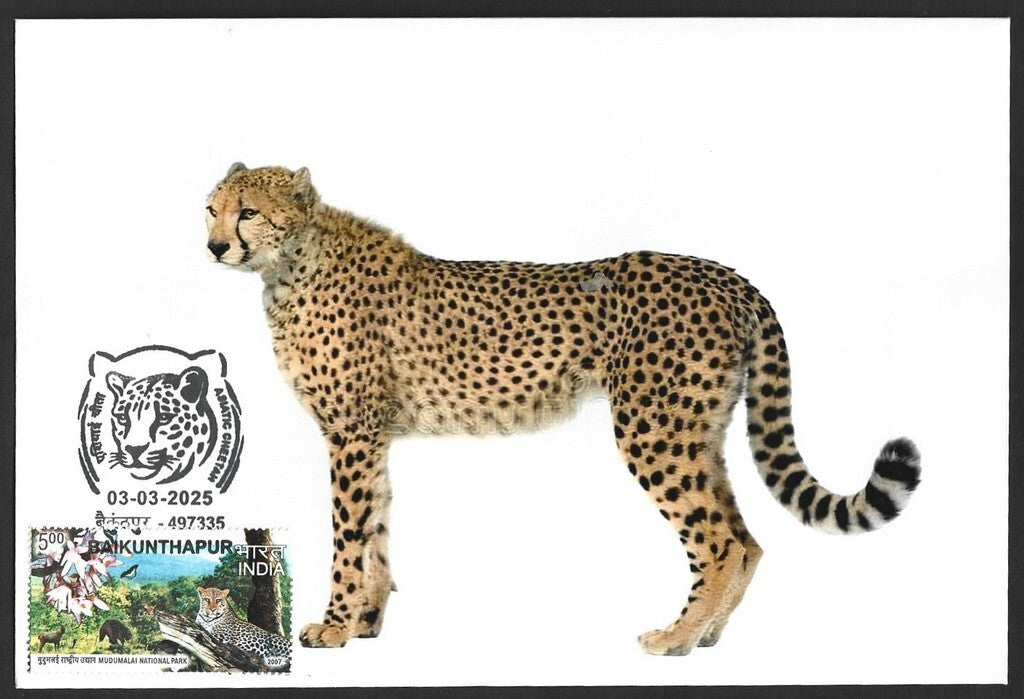 India ASIATIC CHEETAH, Baikunhapur postmark on special cover