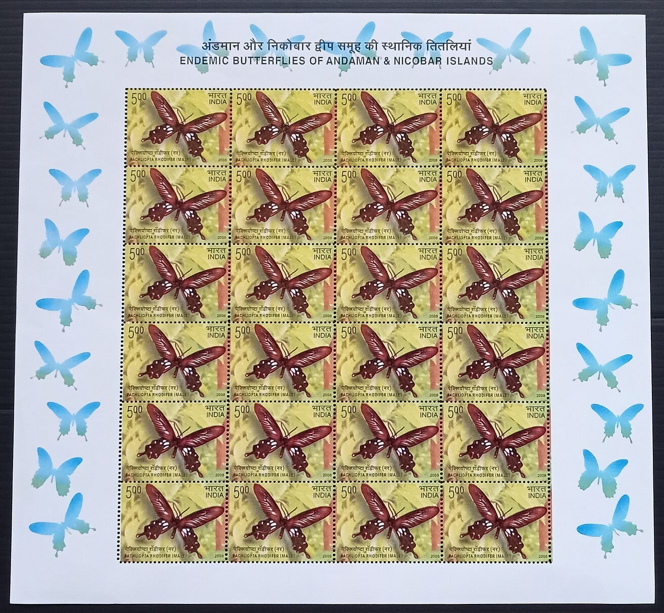 India 2008 Butterflies set of 5 sheetlets of 24 MNH