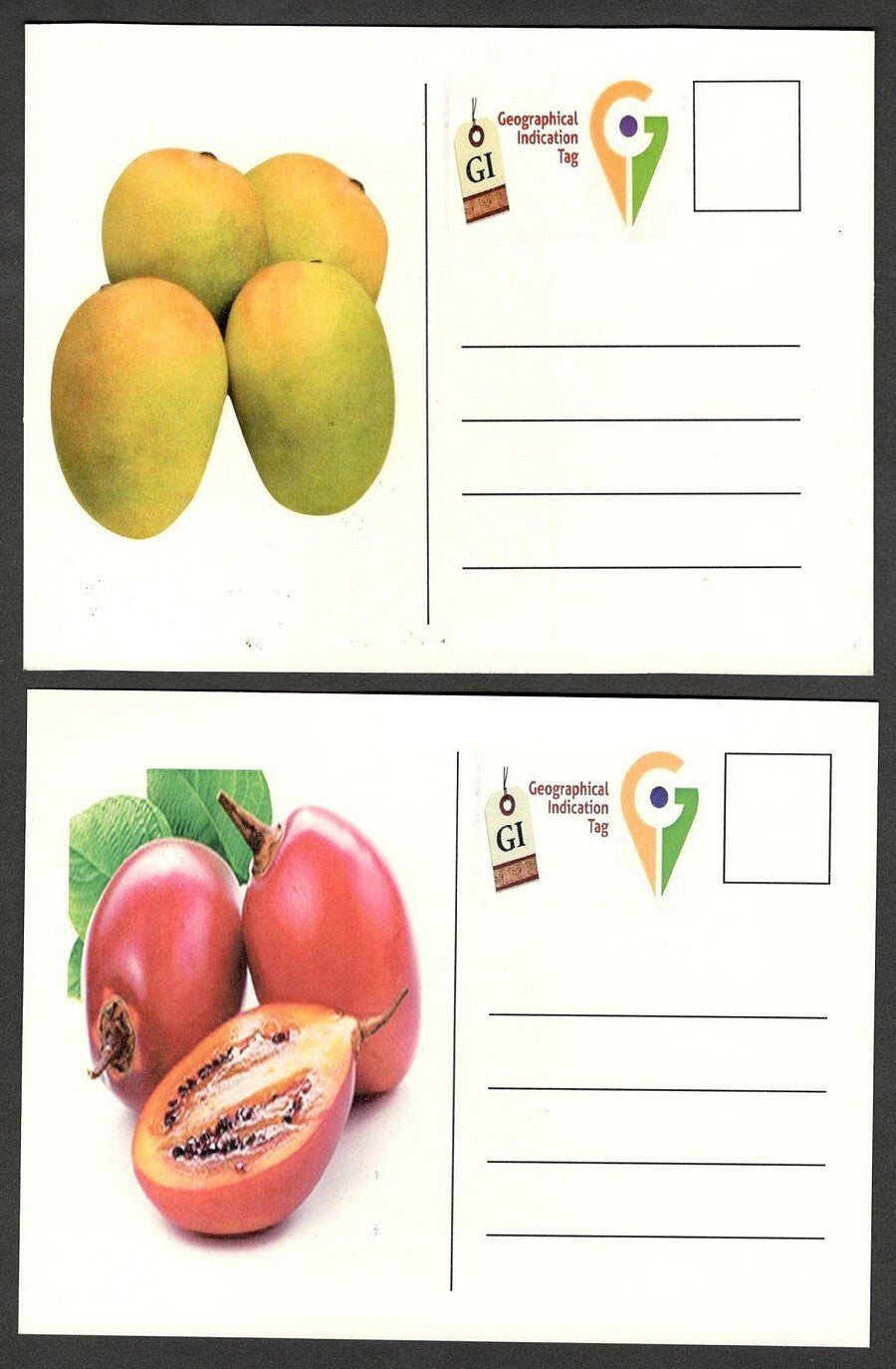 (AOP) India 2023 Indian Fruits sets of 12 maxicards