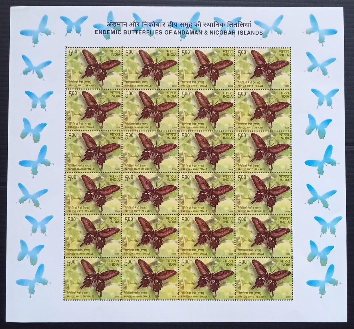 India 2008 Butterflies set of 5 sheetlets of 24 MNH