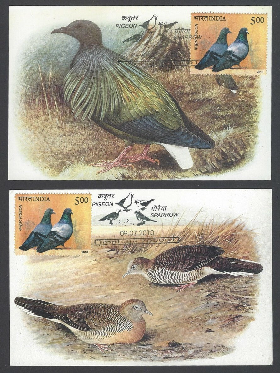 AOP India 2010 Pigeon maxi card set of 24