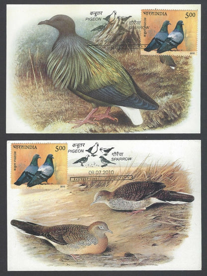 AOP India 2010 Pigeon maxi card set of 24