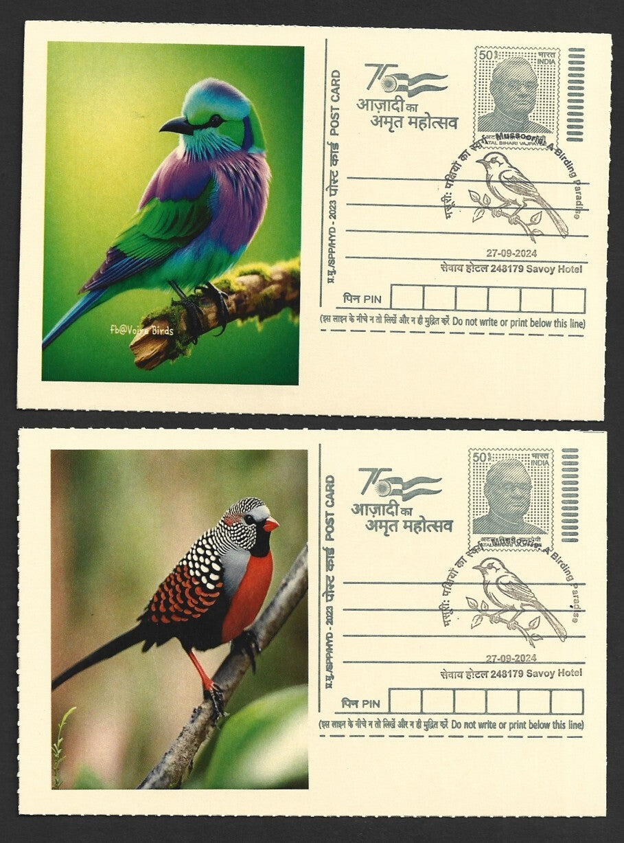India 2024 Birding Paradise Savoy Hotel postmark cards MULTICOLORED BIRDS (8)