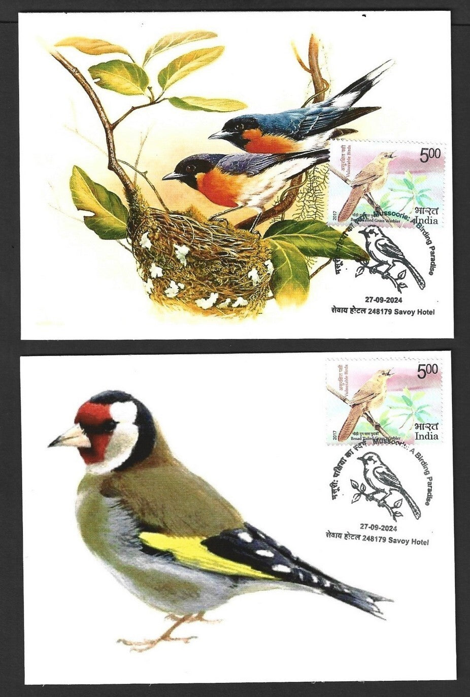 India 2024 BIRDS maximum cards (not first day) (8)
