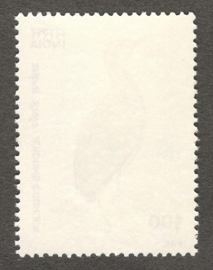 India #1164 1988 Jerdon's Courser MNH