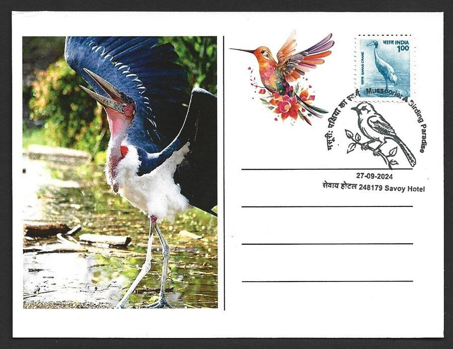 India 2024 BIRDS - STORK maximum card (not first day)