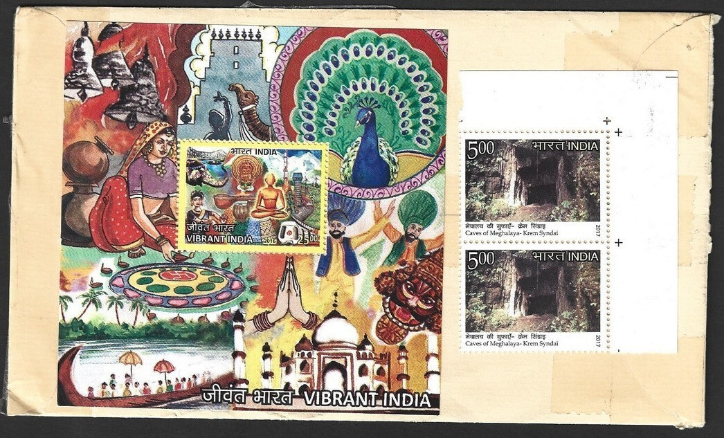 India 2016 Vibrant India MS used on cover