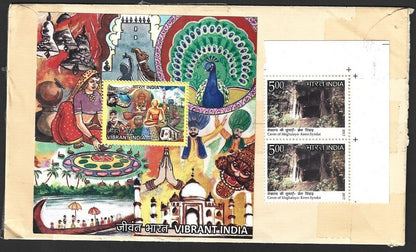 India 2016 Vibrant India MS used on cover