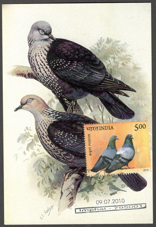 AOP India 2010 Pigeon maxi card