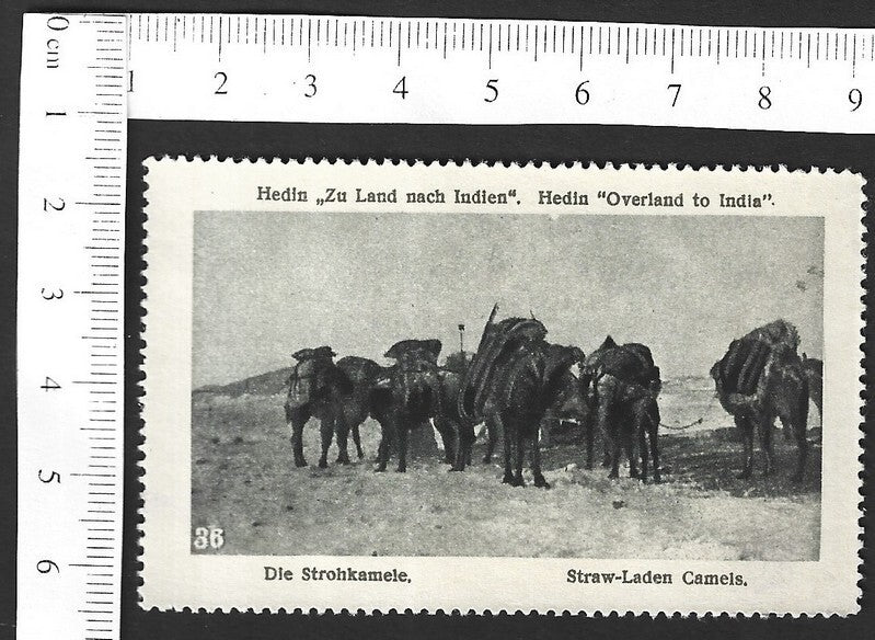 Vintage OVERLAND TO INDIA poster stamp - STRAW-LADEN CAMELS zaz