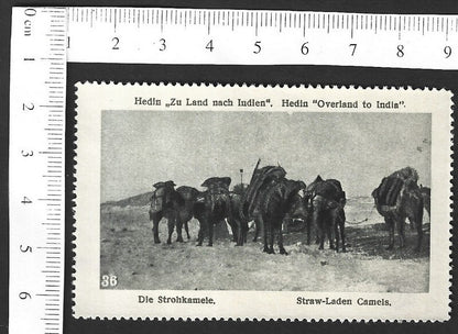 Vintage OVERLAND TO INDIA poster stamp - STRAW-LADEN CAMELS zaz