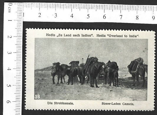 Vintage OVERLAND TO INDIA poster stamp - STRAW-LADEN CAMELS zaz