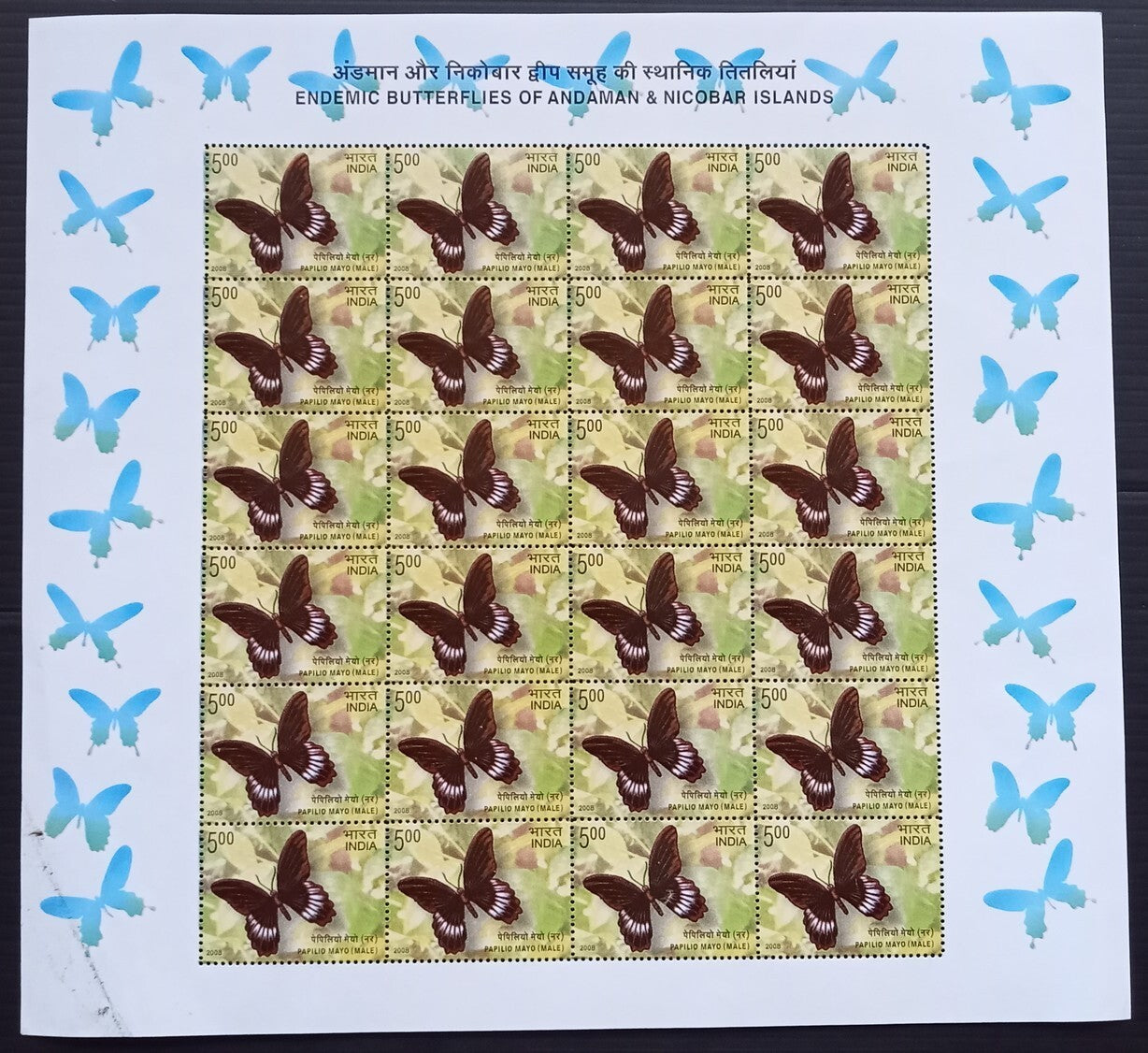 India 2008 Butterflies set of 5 sheetlets of 24 MNH