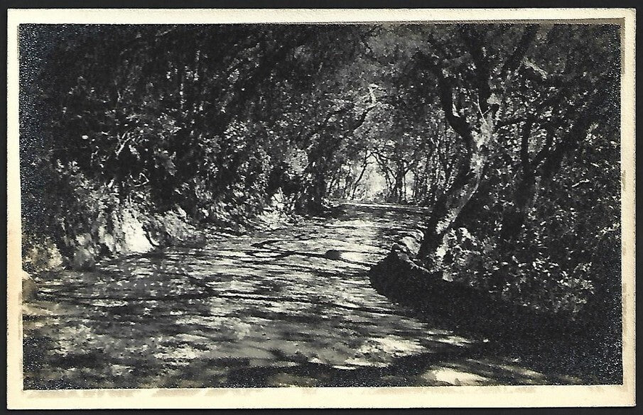 (AOP) India vintage real photo postcard TIGER PATH, MAHABLESHWAR